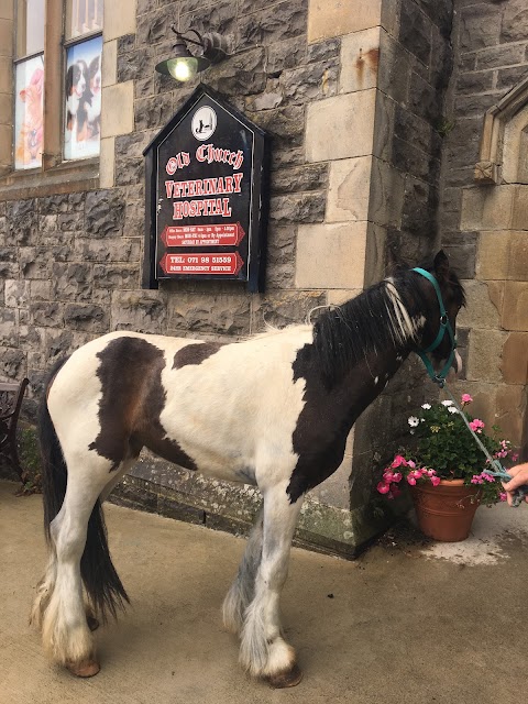 Old Church Veterinary Hospital (XL Vets Ireland)