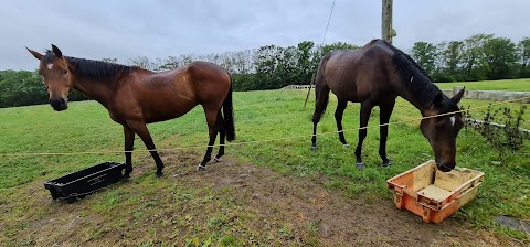 Curragh Farm Lodges