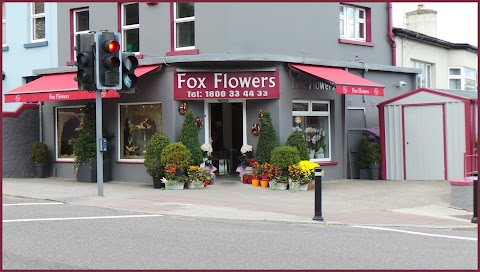 Fox Flowers