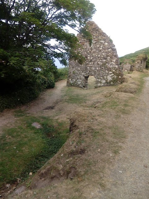 St. Declan's Well and Church (Ruins)