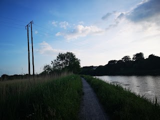 Walking Path Near River Laune