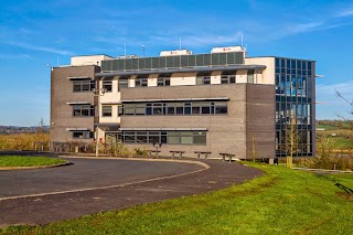 Walton Institute for Information and Communication Systems Science