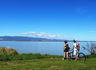 Cycle Remutaka