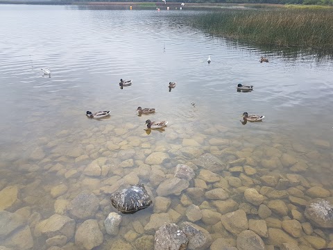 Ballyalla Lake