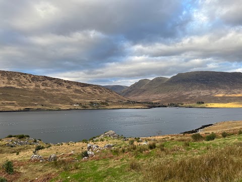 Mussel Farms