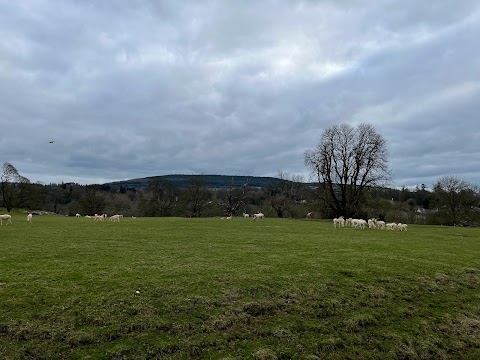 Mallow Castle(Caisleán Mala)