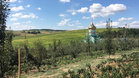 Скит Святой Ксении Петербургской