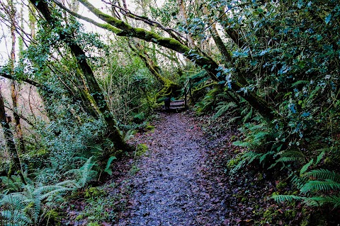 Fowley's Falls, Rossinver, Leitrim