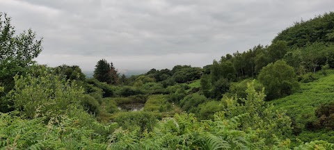 Fermoy Reservoir