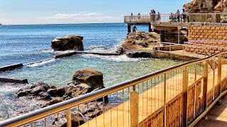 Terrigal Ocean Pool