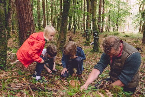 The Nature Hub