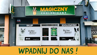 Magiczny Zoologiczny