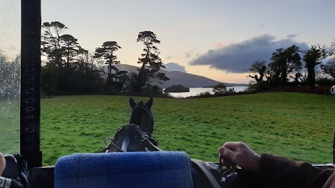 Killarney Horse and Carriage Tours