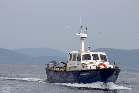 Skellig Michael tours- Skellig Michael landing tours - Skellig Island Eco tours - Skellig Boats - Skellig Michael Cruises