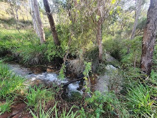 Whistlepipe Gully Trailhead - Forrestfield