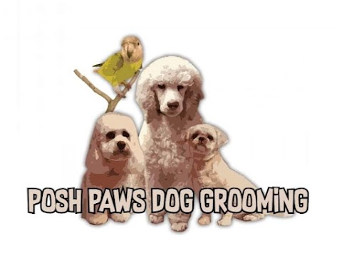 Posh Paws Dog Grooming Salon