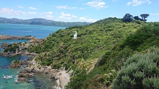 Matiu/Somes Island