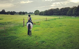 Annaharvey Farm B&B