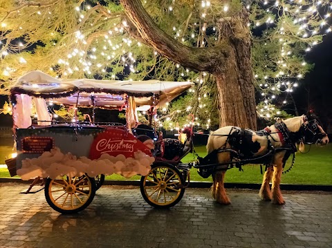 Killarney Carriage Rides