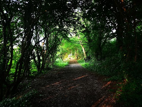 Walking Path Near River Laune