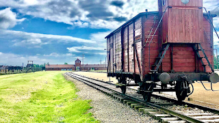 AUSCHWITZ & SALT MINE TOURS by POLTURIST