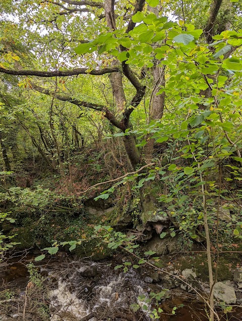 Silver River Gorge