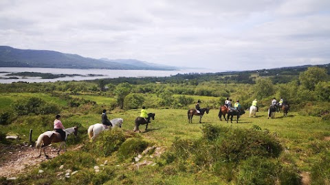 Dromquinna STABLES