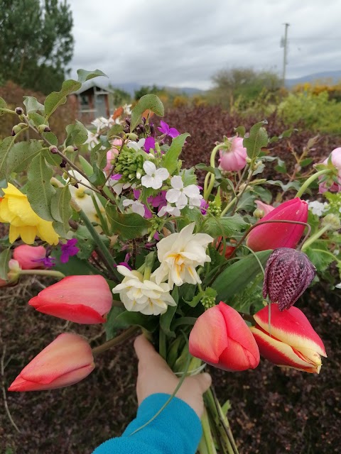 Flowers on Four Acres