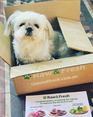 Raw & Fresh Pet Food - Raw Dog Food Delivery