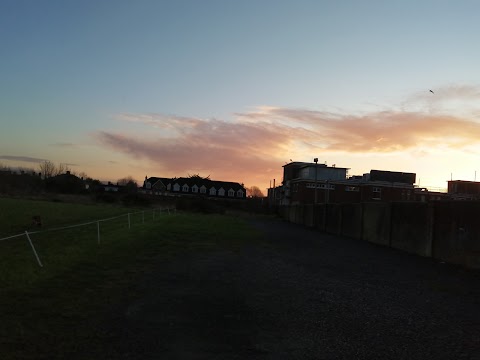 L.P.Y.M.A Sports Ground & Shelbourne AFC