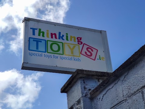 Thinking Toys