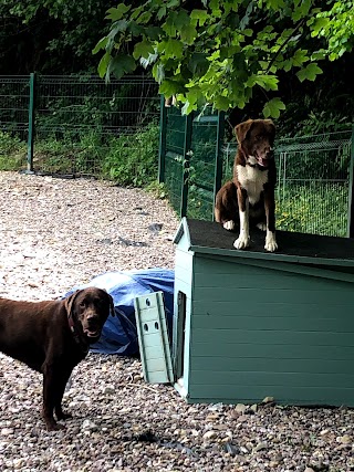 Muddy Paws Day Care