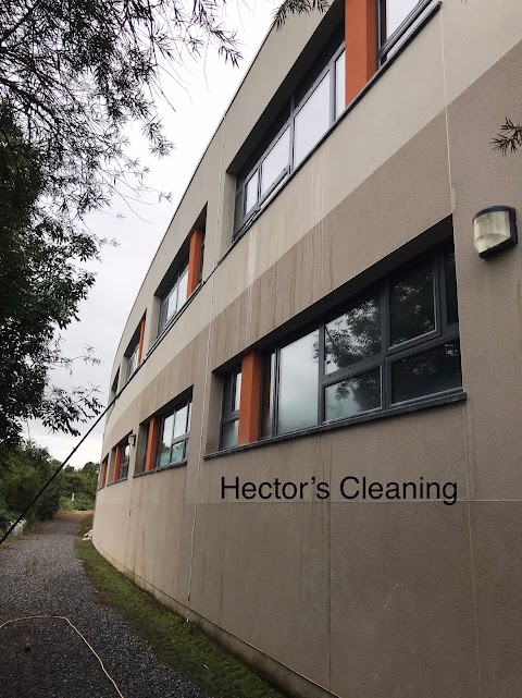 Hector Cleaning Services