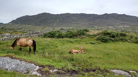 Errisbeg Lodge B&B