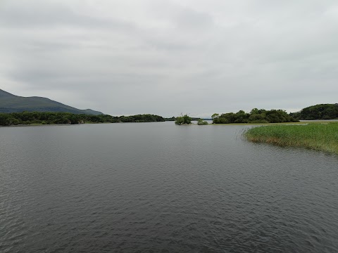 Visit Innisfallen Island