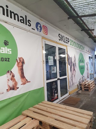 BK Animals Włościańska