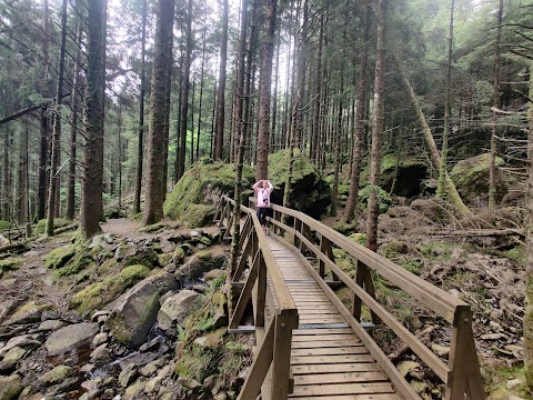 Gougane Barra National Forest Park