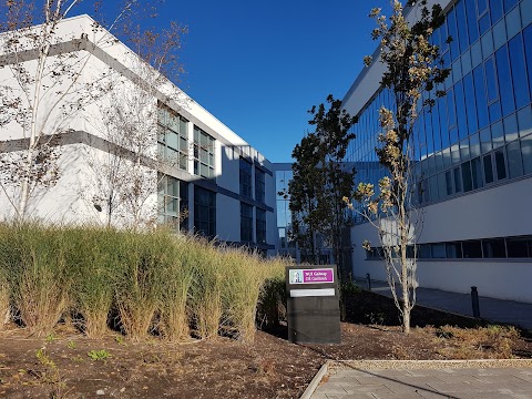 Lambe Institute for Translational Research