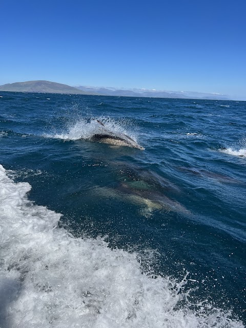 Kerry Coastal Tours