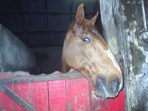 Flowerhill Equestrian Centre