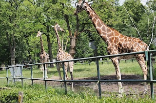 Orientarium ZOO Łódź