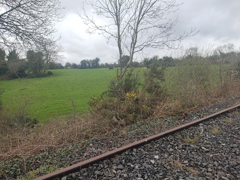 Old Rail Trail (Whitegates, Athlone)