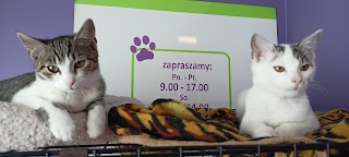 Animals SPA salon pielęgnacji zwierząt