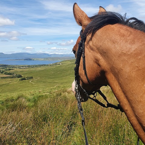 Lios Lara Riding Stables