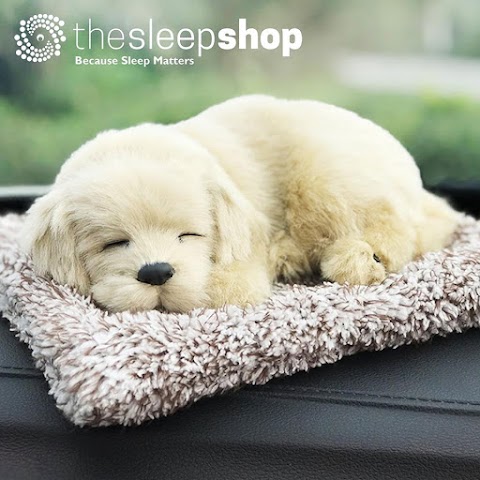 the sleep shop