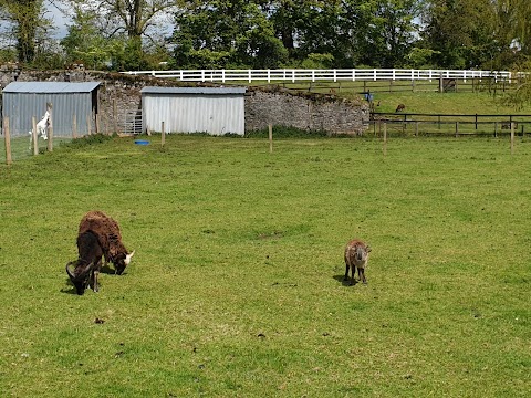 Parsons Green Caravan & Camping Park