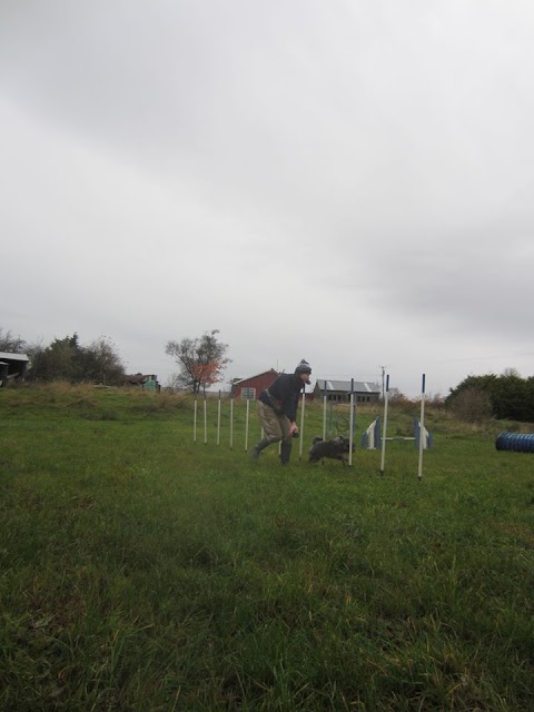 Run As One Dog Agility Club