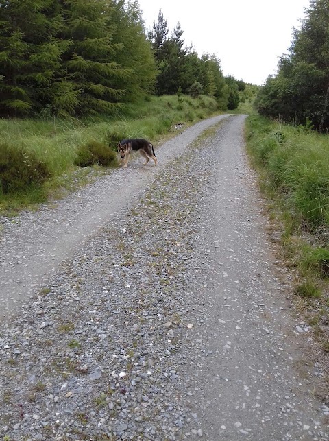 Connemara Mountain Hostel (GOEC Ltd)