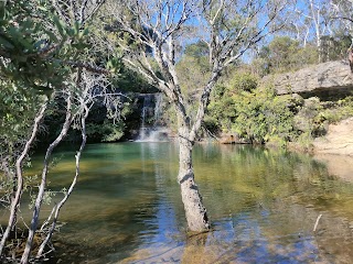 Paradise Pool