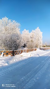 Дерево переробний цех